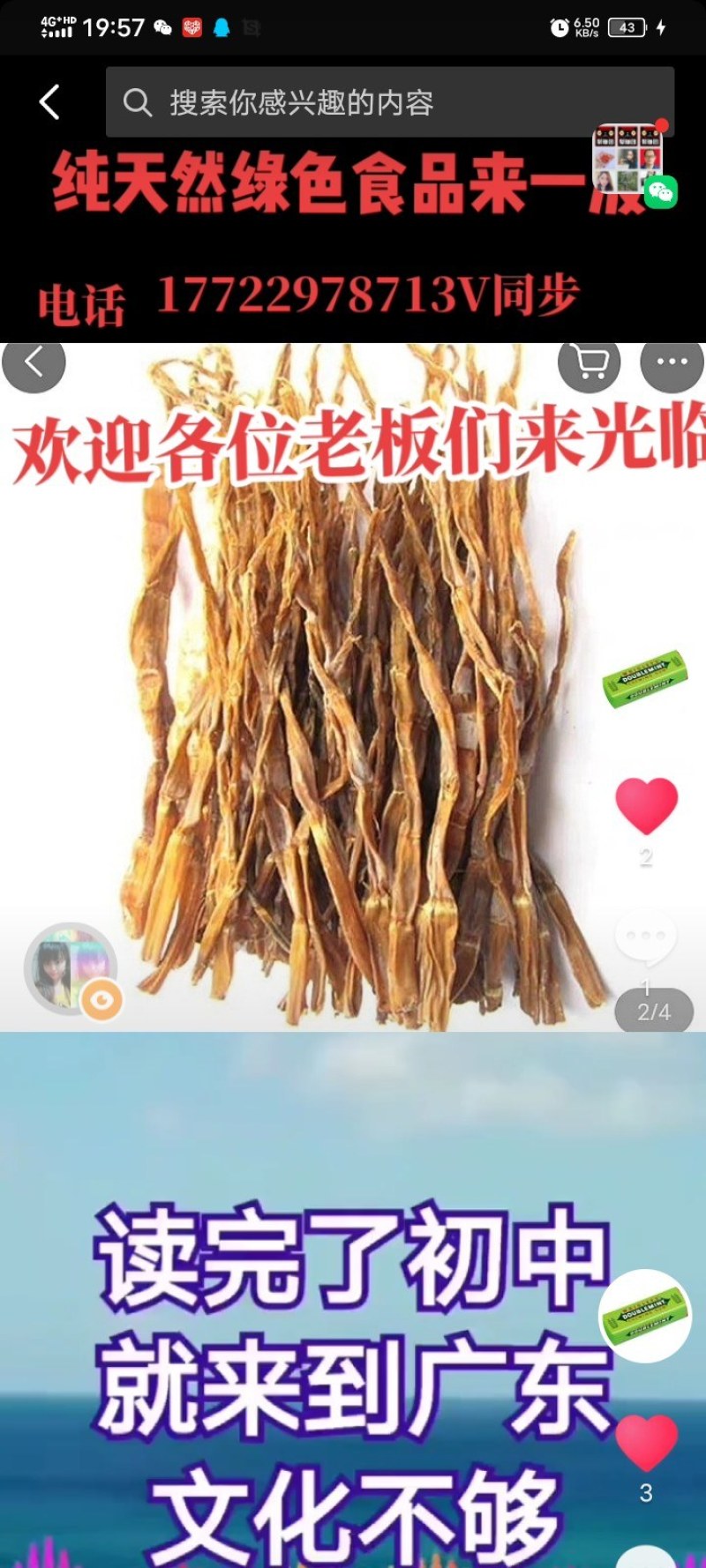 野生竹笋