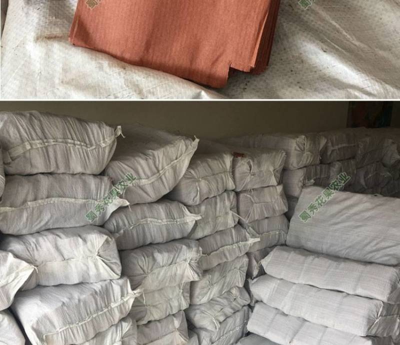 猕猴桃套袋红心黄心通用水果奇异果袋防水防虫防鸟带铁丝单层