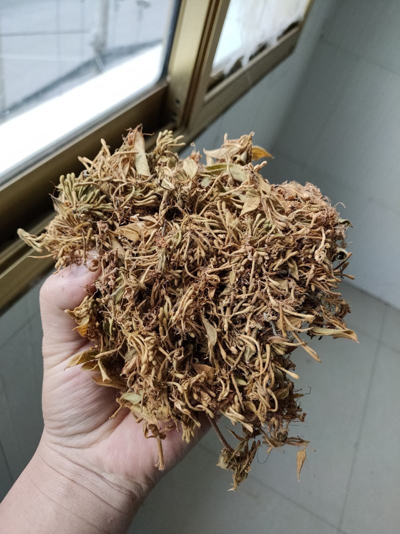 金银花花香怡人自然晒干量大从优欢迎咨询