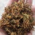 金银花花香怡人自然晒干量大从优欢迎咨询