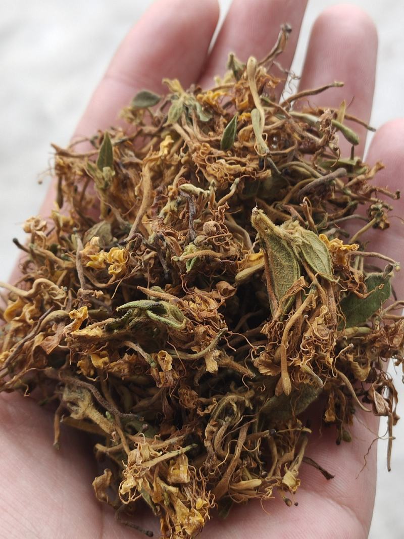 金银花花香怡人自然晒干量大从优欢迎咨询