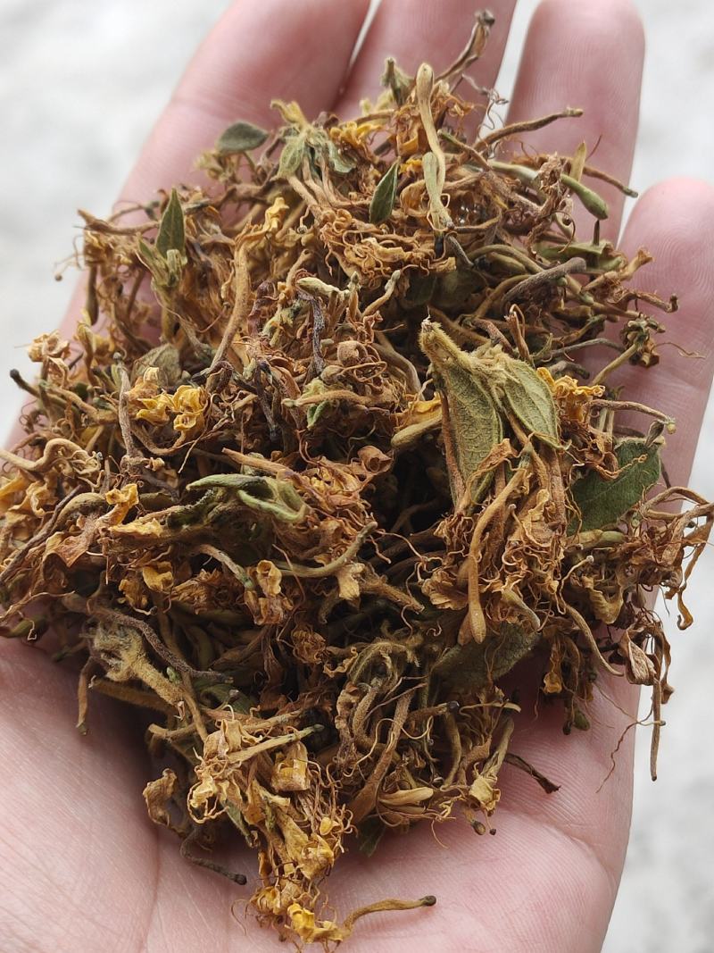金银花花香怡人自然晒干量大从优欢迎咨询
