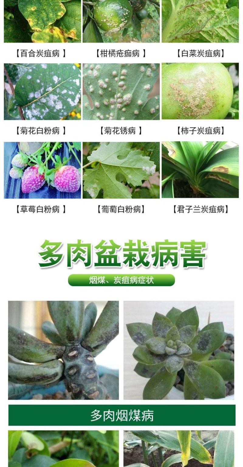 90%多菌灵杀菌剂农药保护治愈剂植物花卉多肉杀菌剂剂包邮