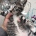 猫咪