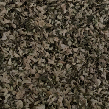 精品干槐花阵阵清香批发零售产地直发