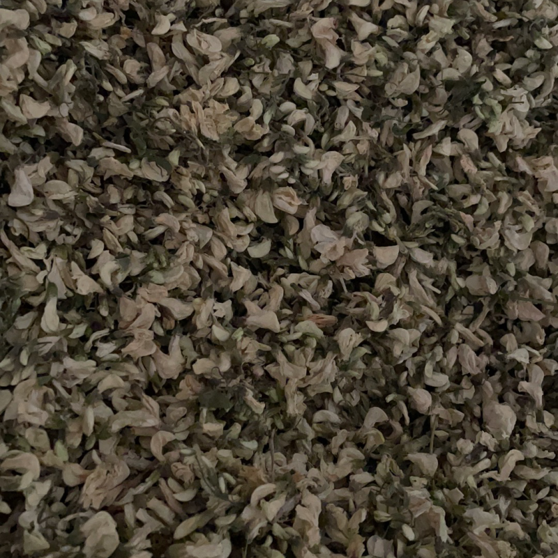 精品干槐花阵阵清香批发零售产地直发