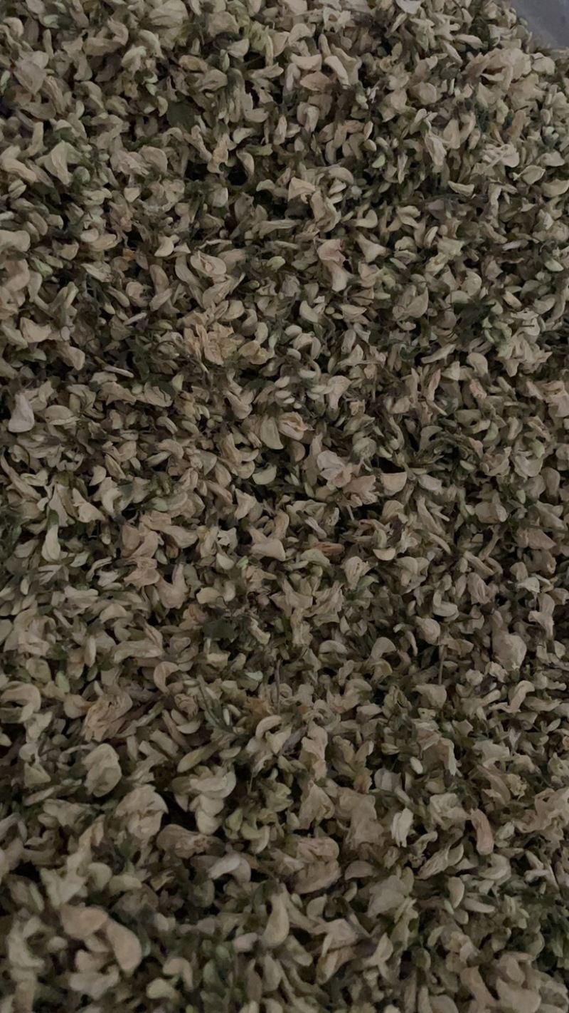 精品干槐花阵阵清香批发零售产地直发