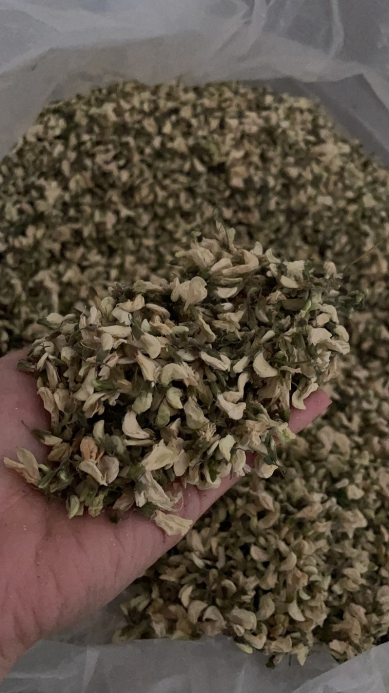 精品干槐花阵阵清香批发零售产地直发