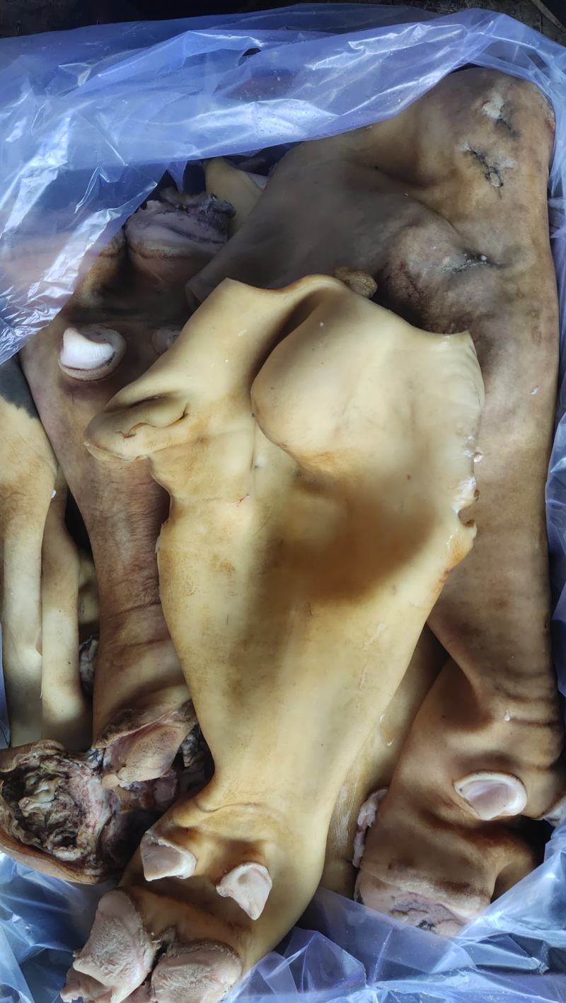 生牛蹄筋
