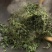农家清明春茶，清香清明新绿茶大量批发
