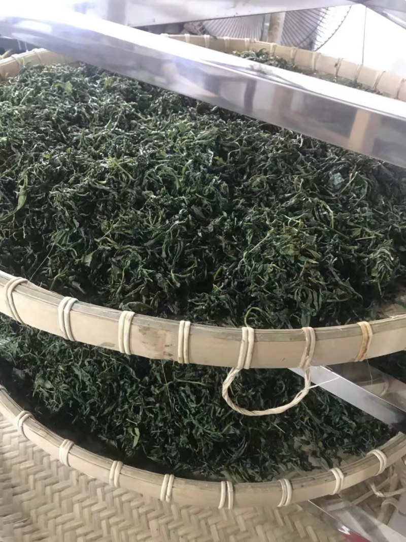 农家清明春茶，清香清明新绿茶大量批发