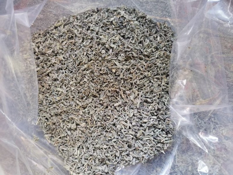 农家清明春茶，清香清明新绿茶大量批发