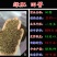 田菁种子别名碱菁涝豆耐涝耐旱盐碱土壤改良牧草果园固氮绿肥