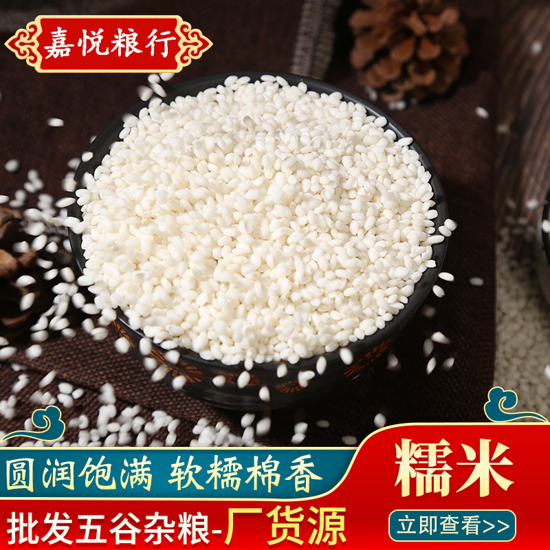 批发东北圆糯米江米包粽子酒酿新鲜白糯米袋装25公斤