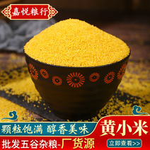 黄小米月子米食用新米小米粥现货充足量大优惠袋装25公斤
