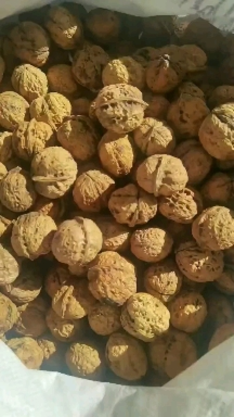 【产地直发】云南核桃纸皮核桃云南薄皮核桃核桃仁批发