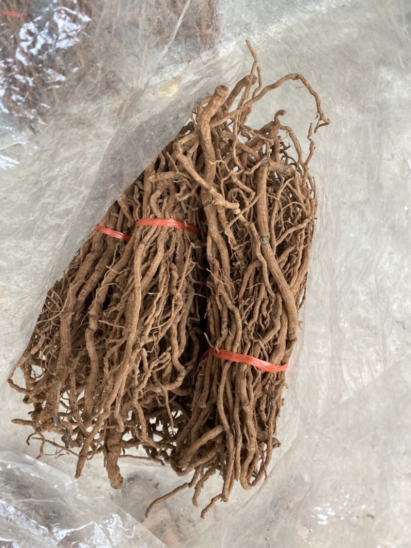 海南胡椒根。辣全国发货规格齐全价格美丽
