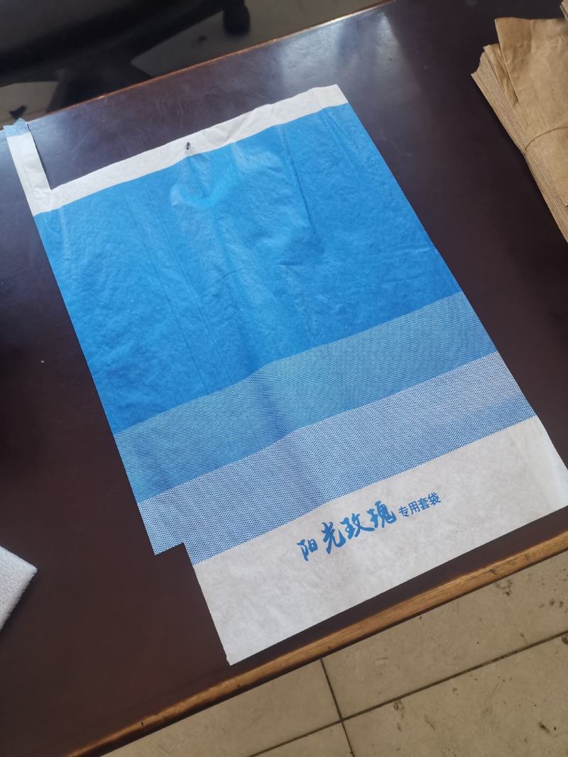 渐变蓝色疏水阳光玫瑰专用套袋，具有较强的防水防虫防鸟功能