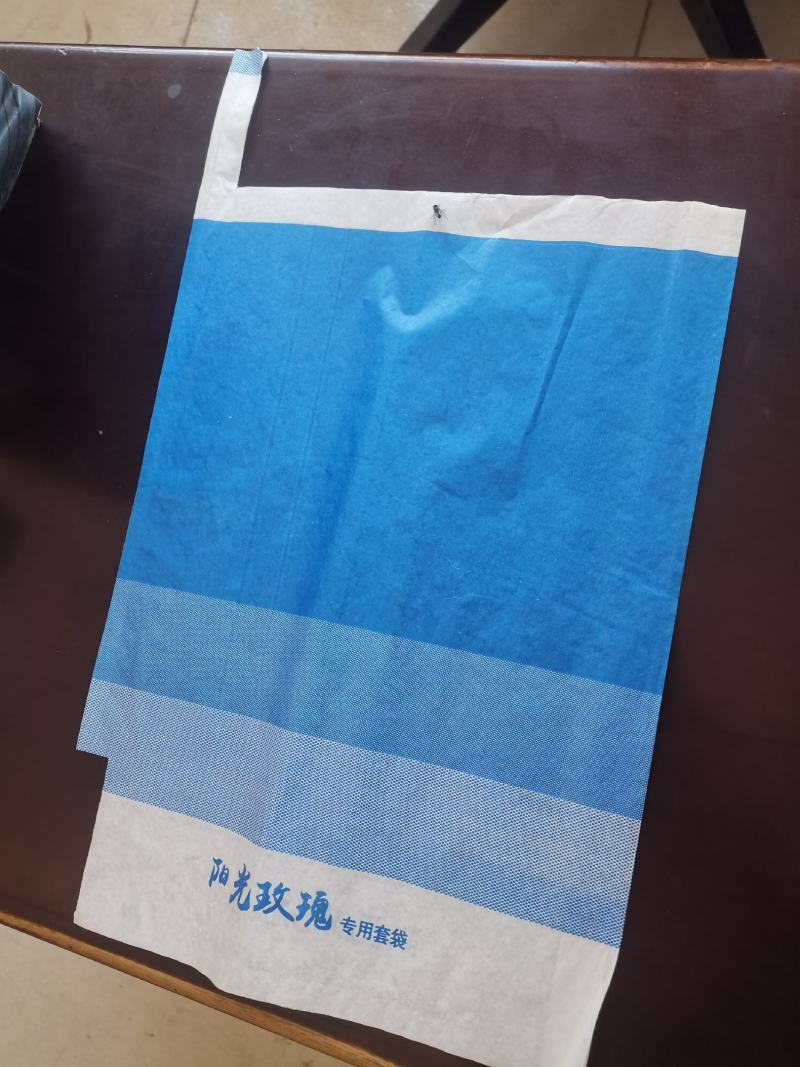 渐变蓝色疏水阳光玫瑰专用套袋，具有较强的防水防虫防鸟功能
