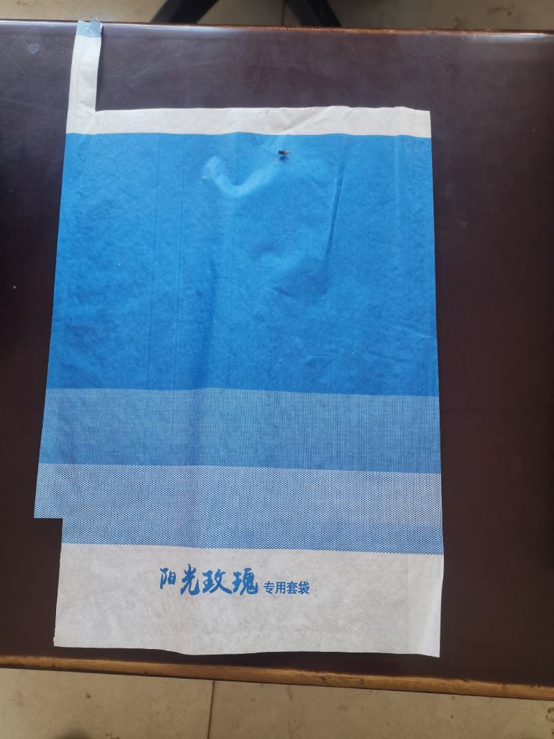 渐变蓝色疏水阳光玫瑰专用套袋，具有较强的防水防虫防鸟功能