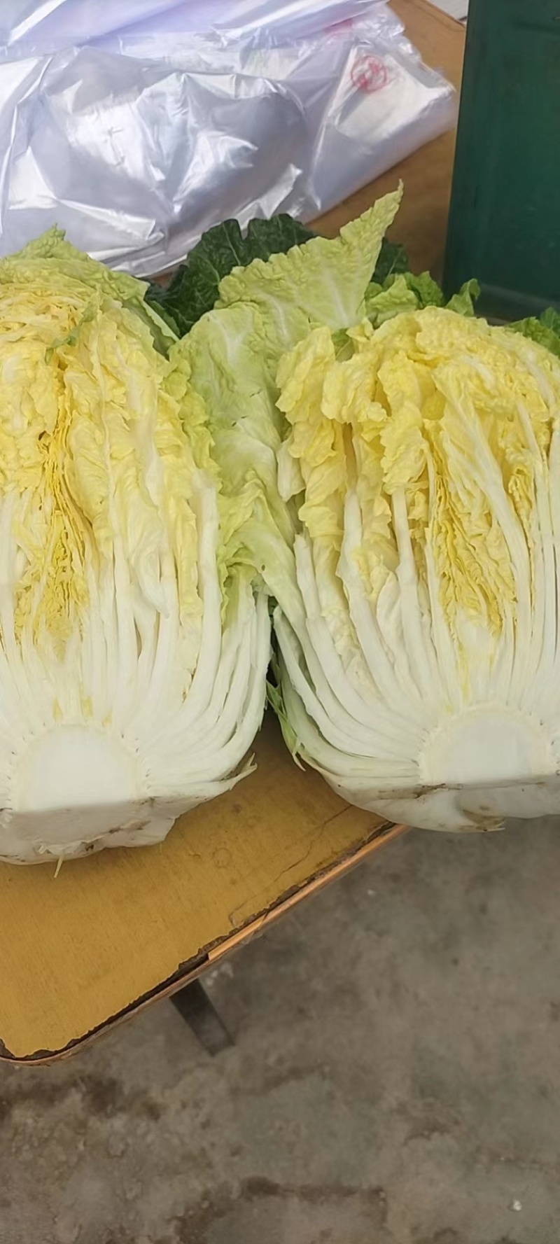 黄心白菜大量上市批发供应电话联系产地批发欢迎咨询