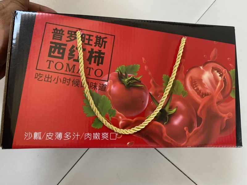 普罗旺斯