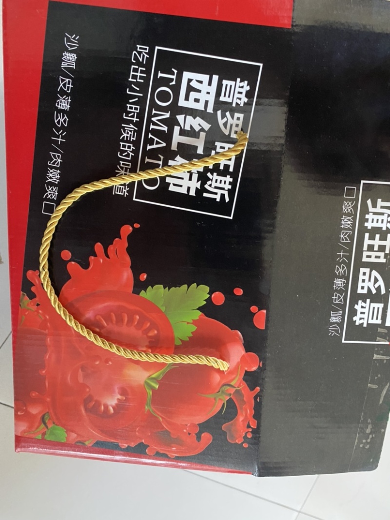 普罗旺斯