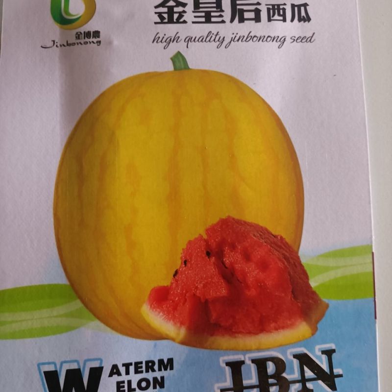 黄小宝西瓜种子黄皮黄肉黄心8424型冰麒麟抗裂小西瓜
