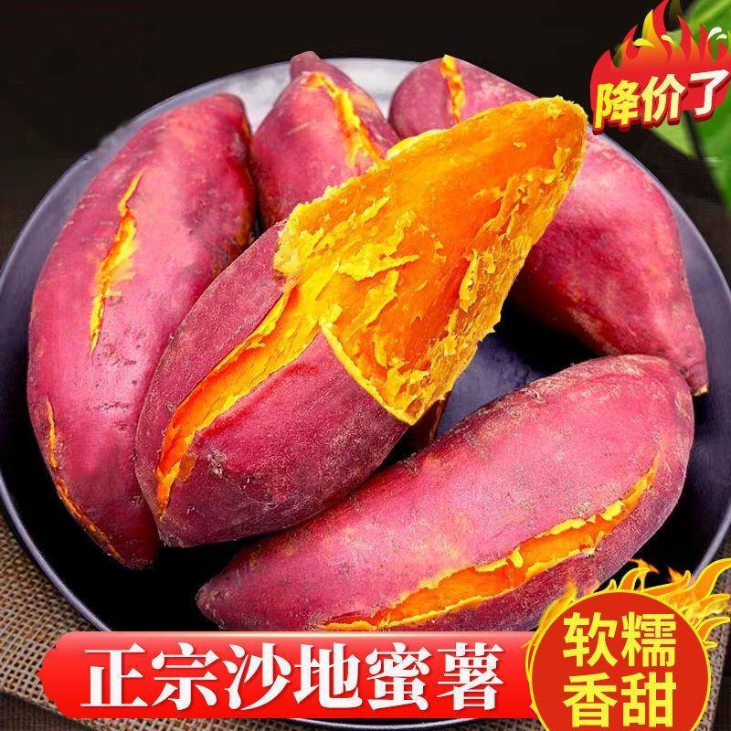 【现挖现发】沙地板栗红薯新鲜红蜜薯蔬菜2/5/9斤番薯地