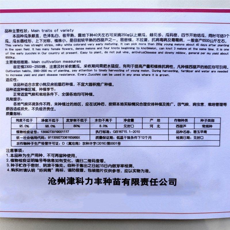 寒之春西葫芦种子抗病早熟长势强占瓜青南瓜种籽春季四季蔬菜