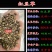 红豆草种子护坡草耐寒耐旱盐碱草籽牧草观赏保土绿肥兼用新型