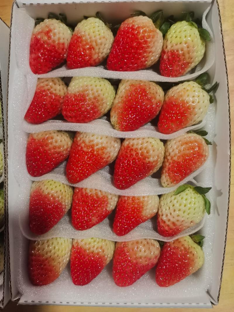 云南蒙特瑞夏草莓