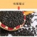 油葵榨油小瓜子鸽子粮黑瓜子饲料现货供应50斤