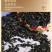 油葵榨油小瓜子鸽子粮黑瓜子饲料现货供应50斤