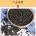 油葵榨油小瓜子鸽子粮黑瓜子饲料现货供应50斤