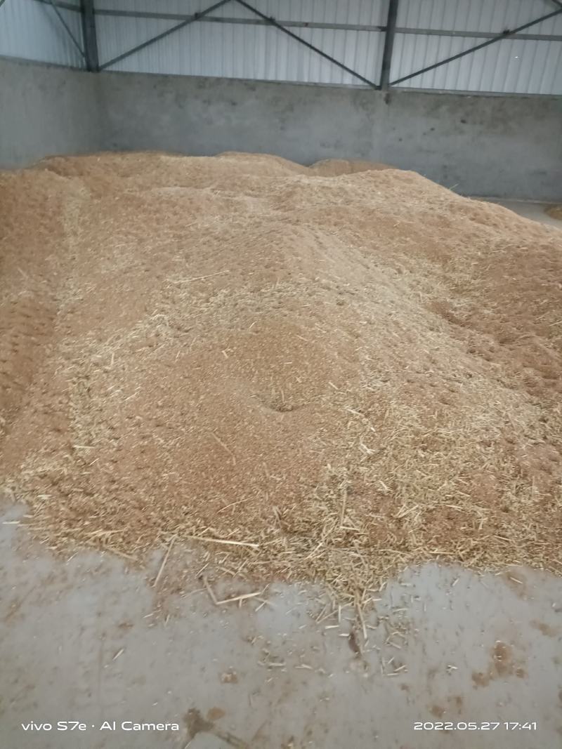 湖北襄阳老河口优质干小麦水份十四以内，包上车