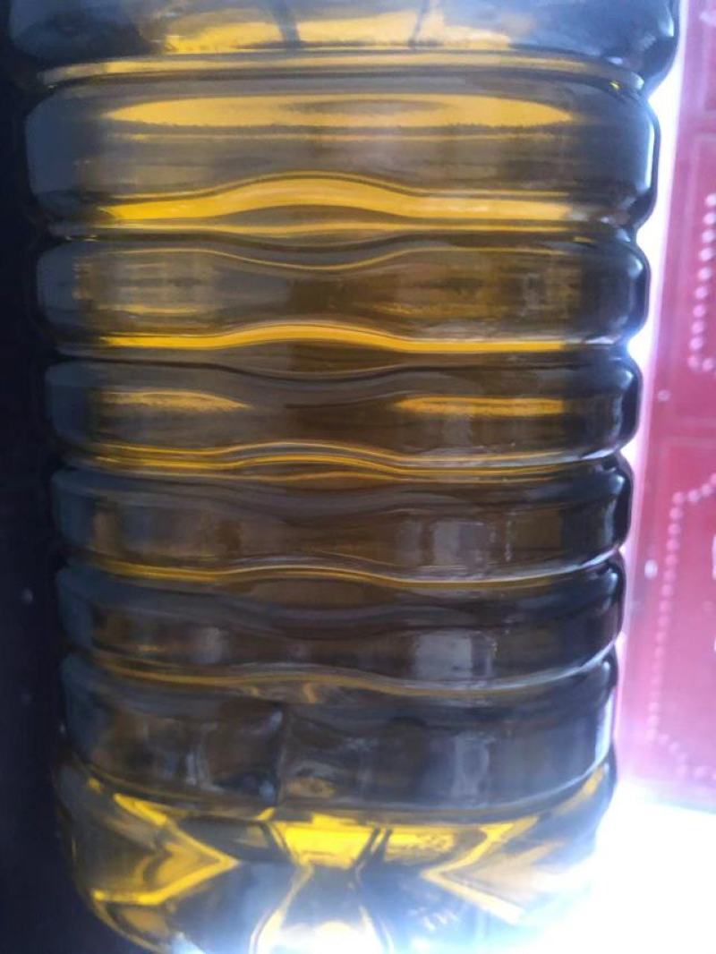 罗平菜油0添加现要现榨现榨小榨醇香，