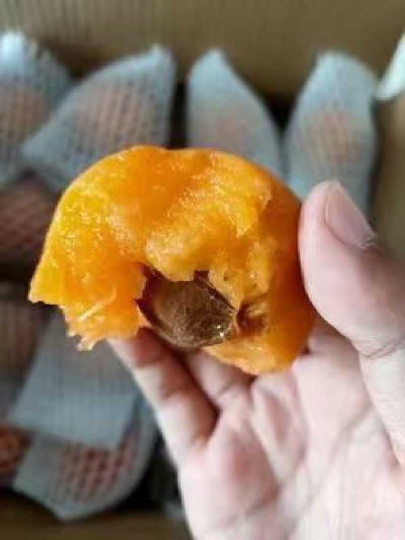 河北麦黄杏凯特杏菜籽杏大量上市中，货源充足，急需客商