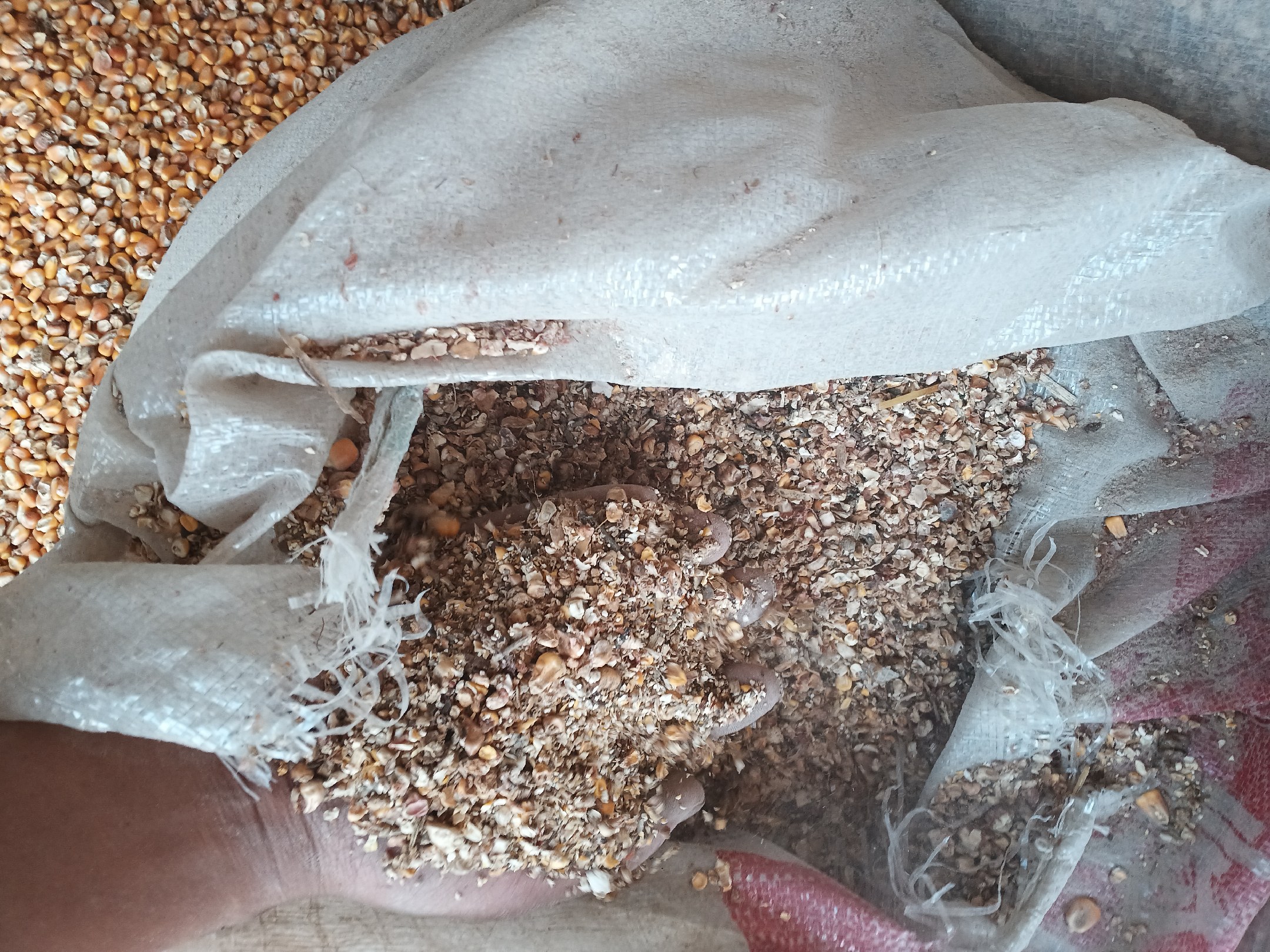 玉米芯粉碎与混合过程
