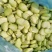 【热卖】新鲜蚕豆瓣蚕豆米蚕豆粒大量上质量保证欢迎采购
