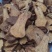 白术炒白术批发各种规格中药材量大从优质量保证