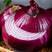 2022年新洋葱一件代发紫皮洋葱3斤5斤9斤