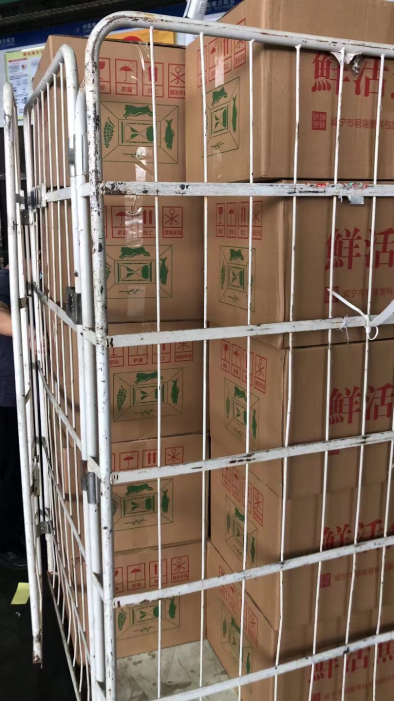 🐟长江鳊鱼种鱼、武昌鱼苗、生长速度快、不易得病🔥🔥