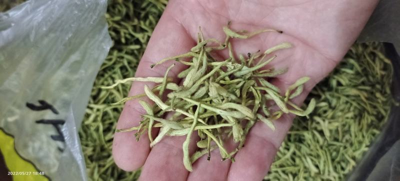 特级高山金银花