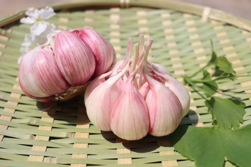 【一件代发】河南紫皮大蒜/蒜头/干蒜/代办代发紫皮蒜