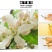 玳玳花干净无杂玳玳花非柚子花无硫烘干一件代发