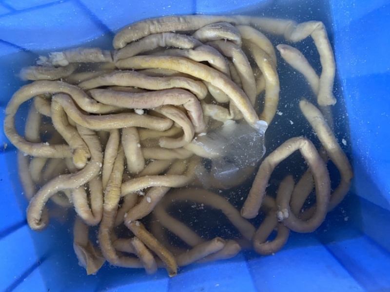 飞水牛肠，每天新鲜加工，质量保证稳定货源