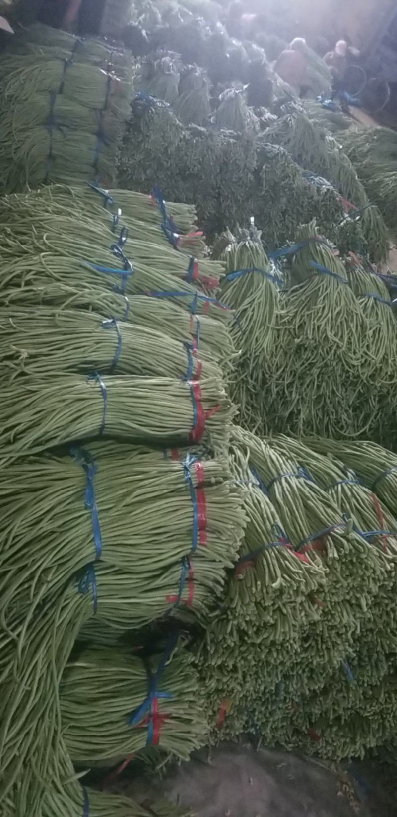 长豆角