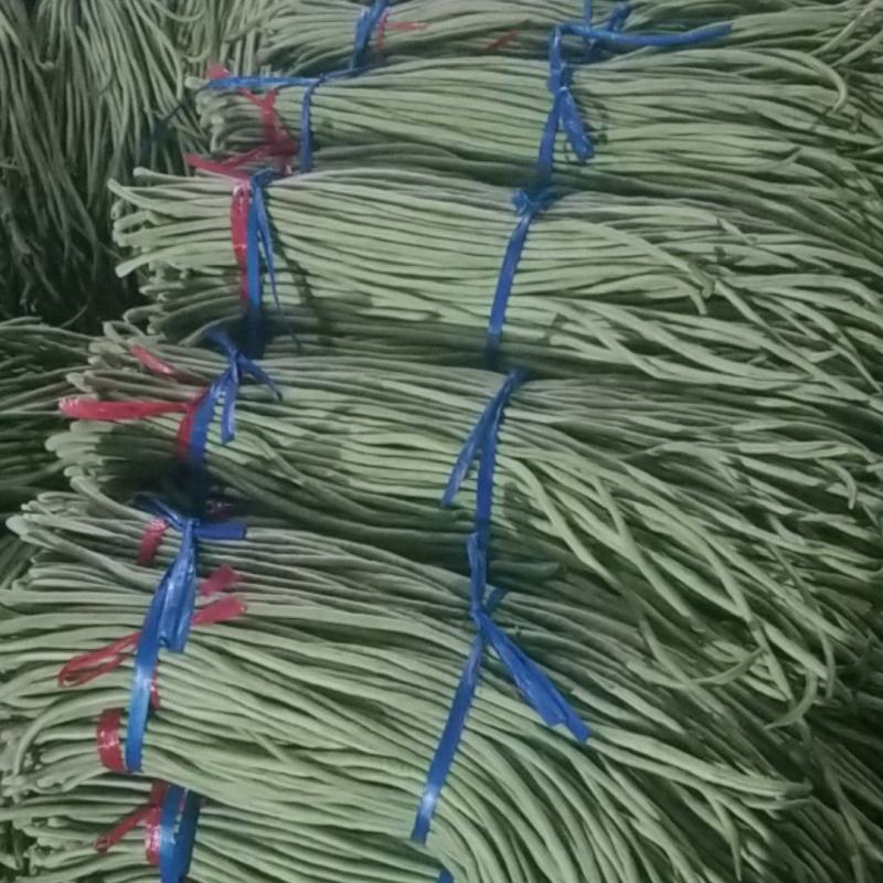 长豆角