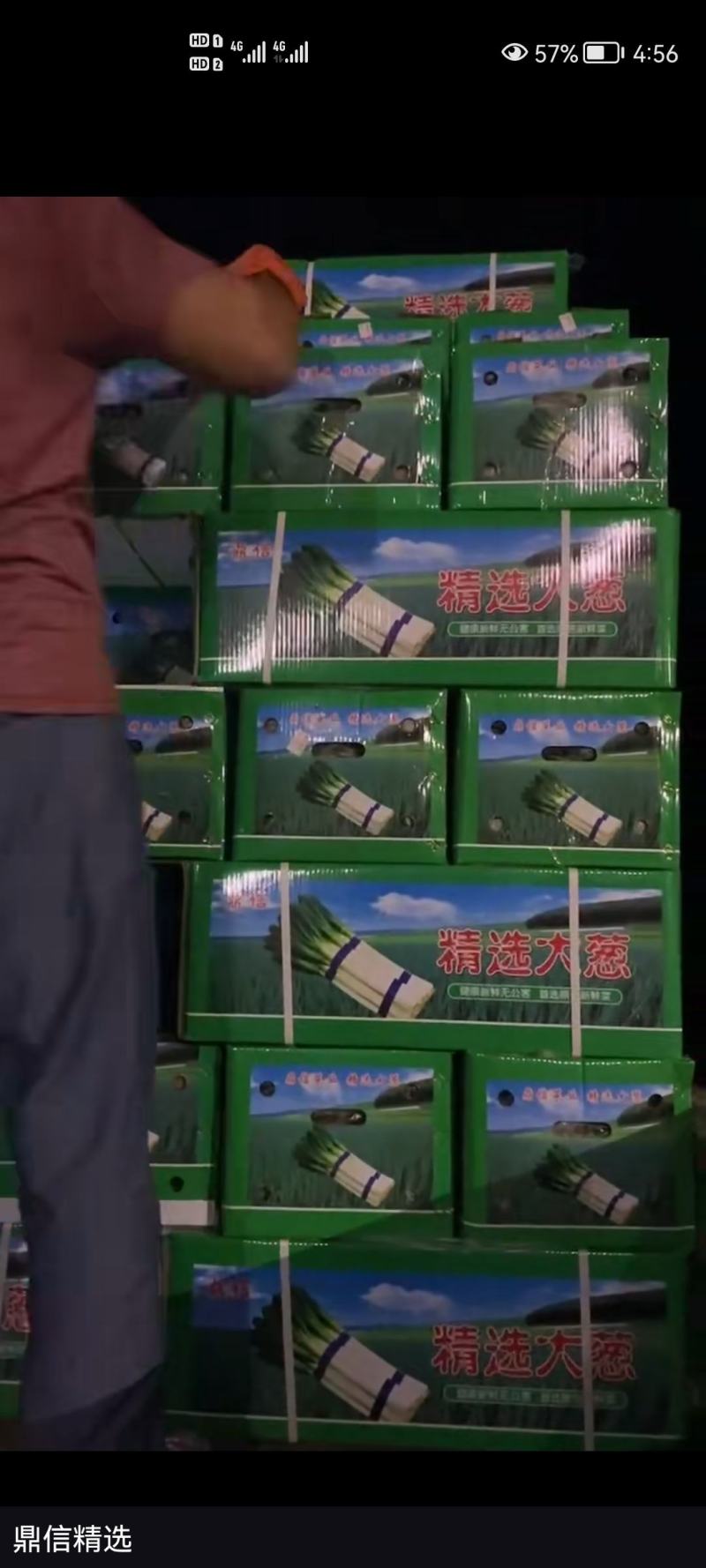 铁杆大葱，精品加工，长年代收毛葱，随时发货，全国大葱主产